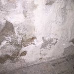 Altbausanierung | Seeland | Wagner Maler