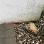 Fassadenrenovation | Biel | Wagner Maler GmbH