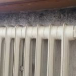 Schimmelsanierung | Biel | Bern | Murten