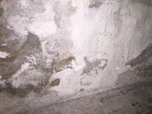 Altbausanierung | Seeland | Wagner Maler
