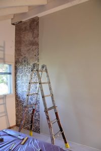 Tapezierarbeiten | Wagner Maler GmbH | Seeland