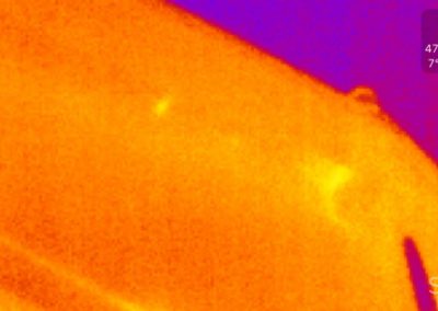 Thermographische Aufnahmen | Biel | Wagner Maler GmbH