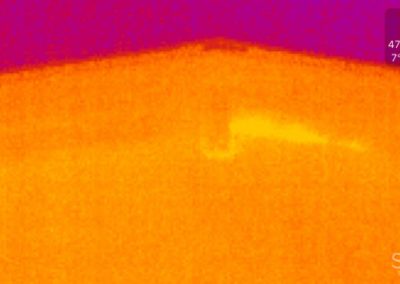 Thermographische Aufnahmen | Seeland | Wagner Maler GmbH